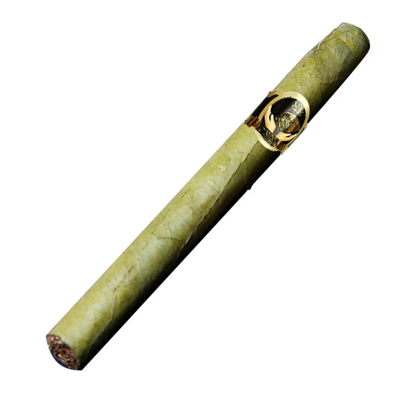 Candela