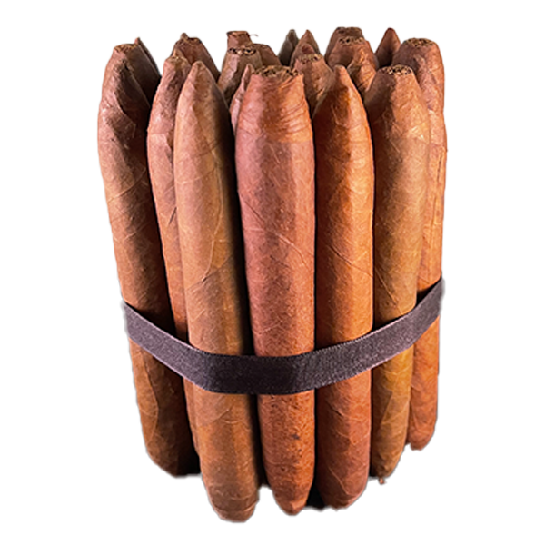 Solomonoto